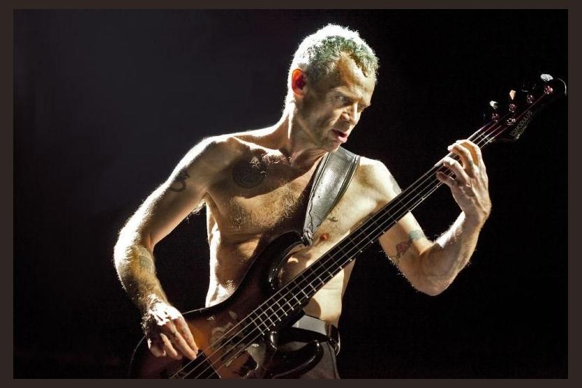 Flea